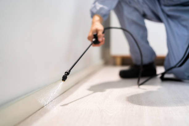 Licensed Pest Control service in Swoyersville, PA - Show Me Pest Control
